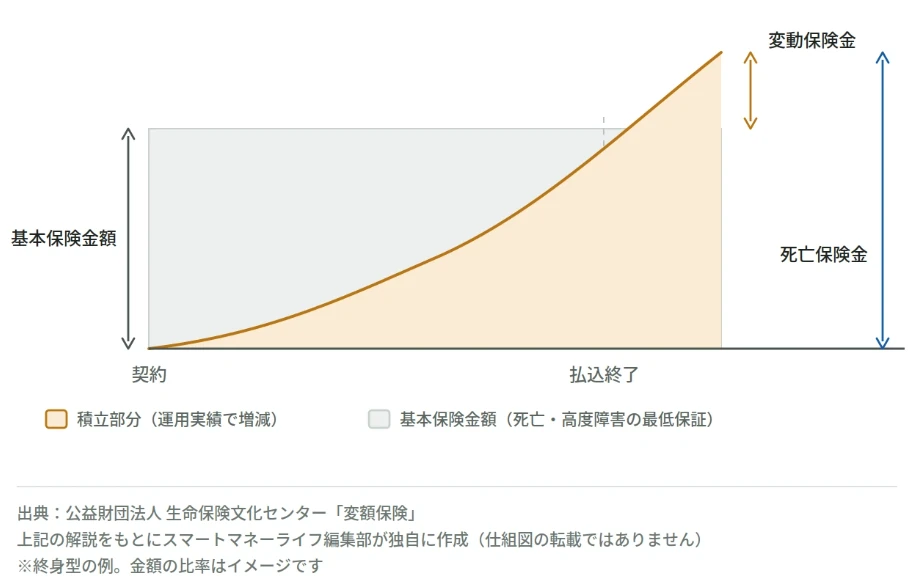 変額保険はやめたほうがいい？デメリットと落とし穴｜金利ある世界での判断基準を解説