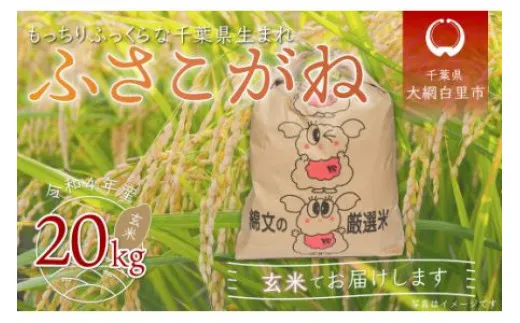 千葉県産「ふさこがね」玄米20kg