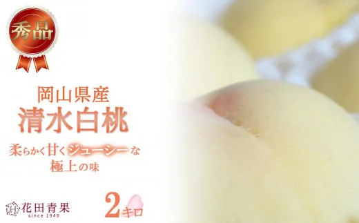 【秀品】清水白桃 2kg
