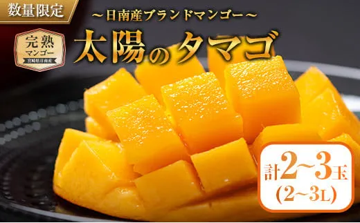 完熟マンゴー「太陽のタマゴ」2～3玉