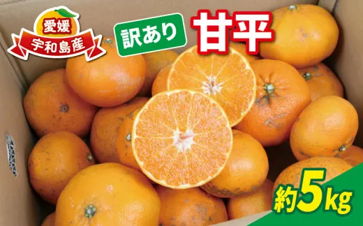 訳あり甘平5kg マル南フルーツ高級みかん