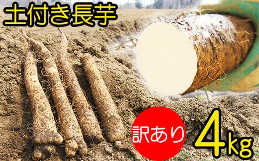 土付き長芋 4kg