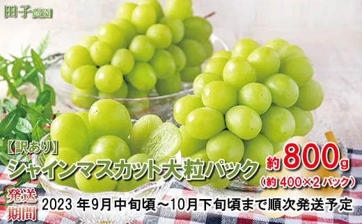 シャインマスカット約800g大粒パック