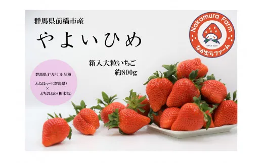 群馬県前橋市産いちご　『やよいひめ』　約800g