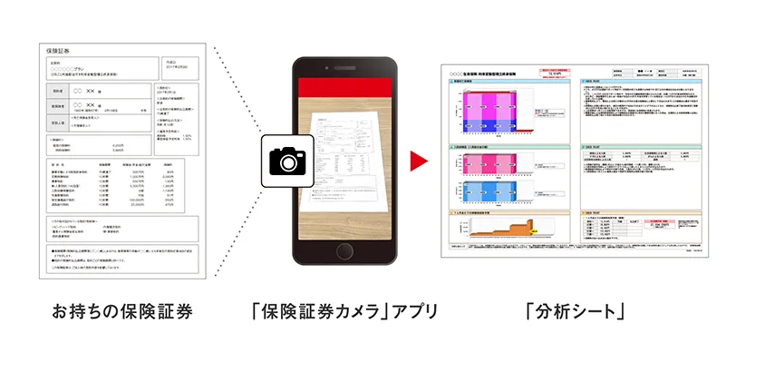 保険IQシステム：生命保険の分析